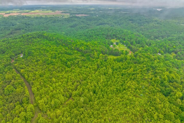 649 Little Notchey Creek Rd, Madisonville, TN 37354 - photo 33