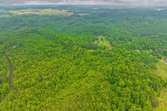 649 Little Notchey Creek Rd, Madisonville, TN 37354 - photo 34