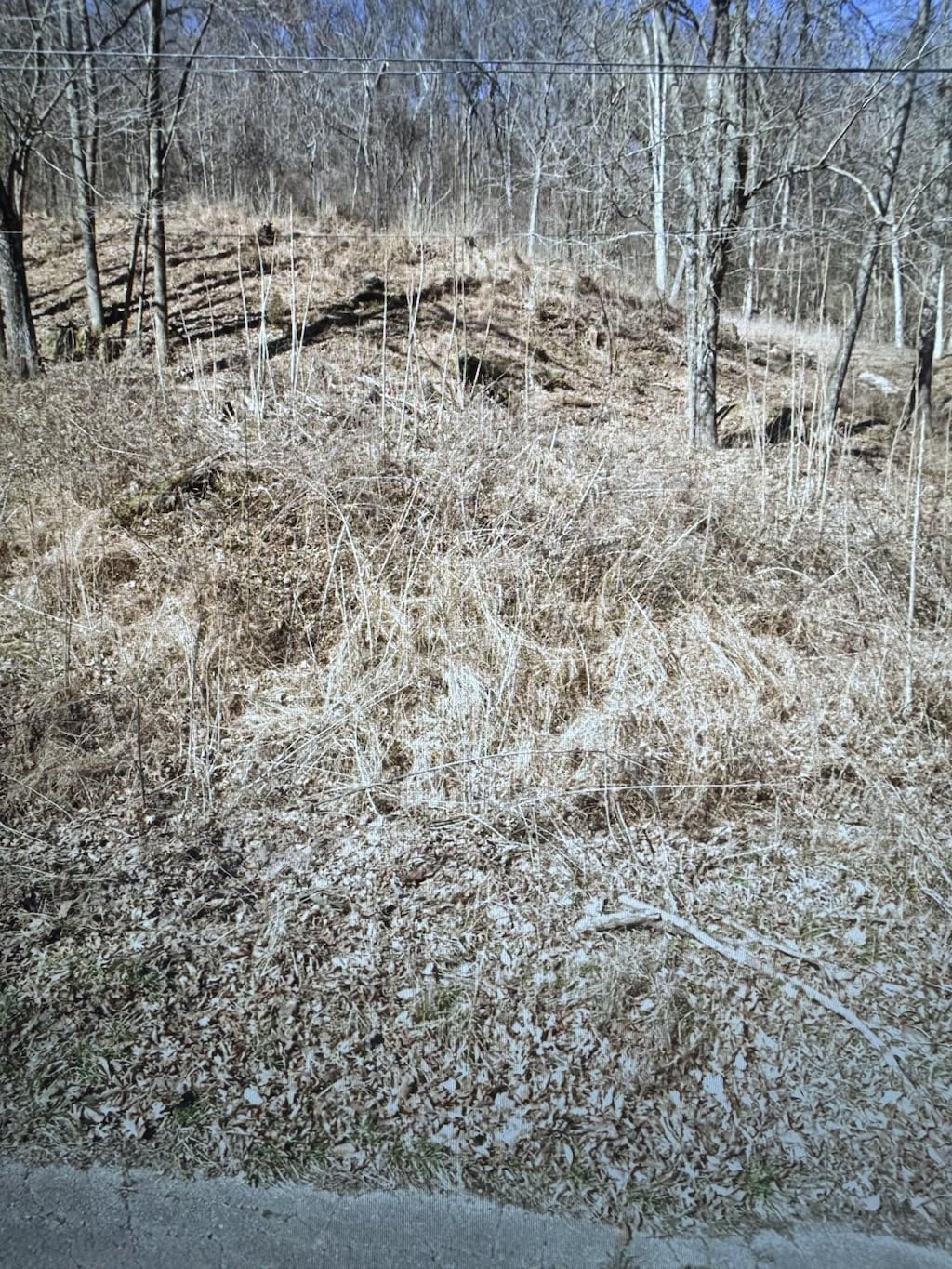 4172 Creek Trail Dr, Whites Creek, TN 37189