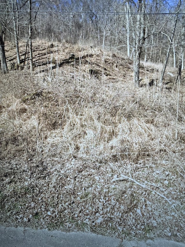4172 Creek Trail Dr, Whites Creek, TN 37189