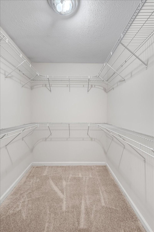 1910 Burlington Cir, Columbia, TN 38401 - spacious closet with carpet floors