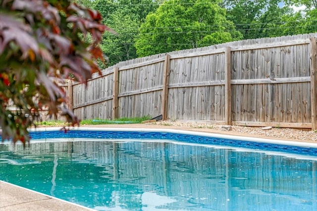 1910 Burlington Cir, Columbia, TN 38401 - view of swimming pool