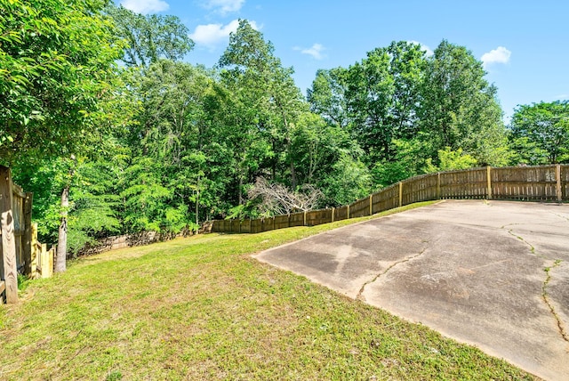 2829 Sharpie Dr, Clarksville, TN 37040 - view of yard