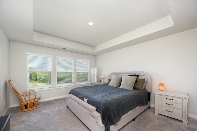 705 Watson Ct, Spring Hill, TN 37174 - bedroom with a raised ceiling, baseboards, and light colored carpet