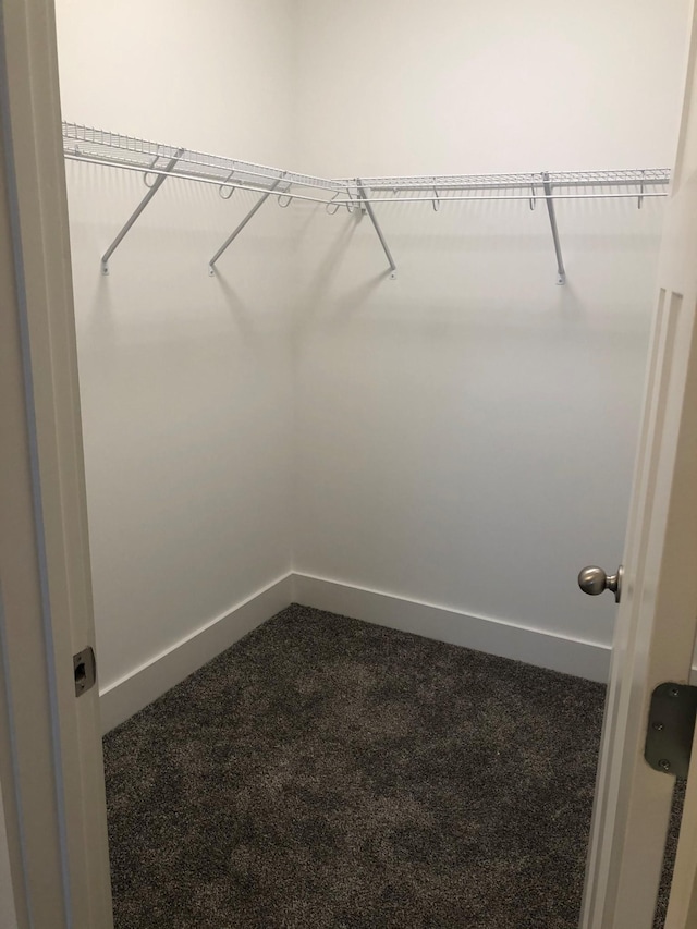 934 Governors Ct Unit 302, Antioch, TN 37013 - walk in closet featuring dark carpet