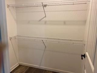 117 Raspberry Dr, Winchester, TN 37398 - walk in closet with dark wood-style flooring