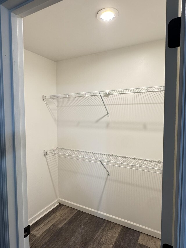 117 Raspberry Dr, Winchester, TN 37398 - spacious closet featuring dark wood-style floors
