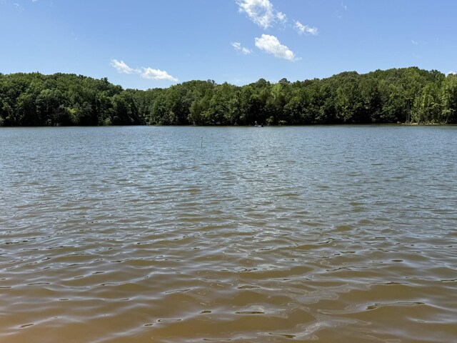 1419 Dripping Springs Rd, Winchester, TN 37398 - photo 20