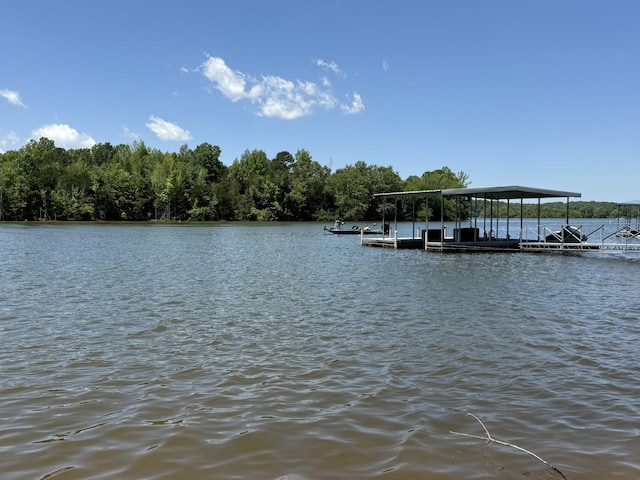 1419 Dripping Springs Rd, Winchester, TN 37398 - photo 21