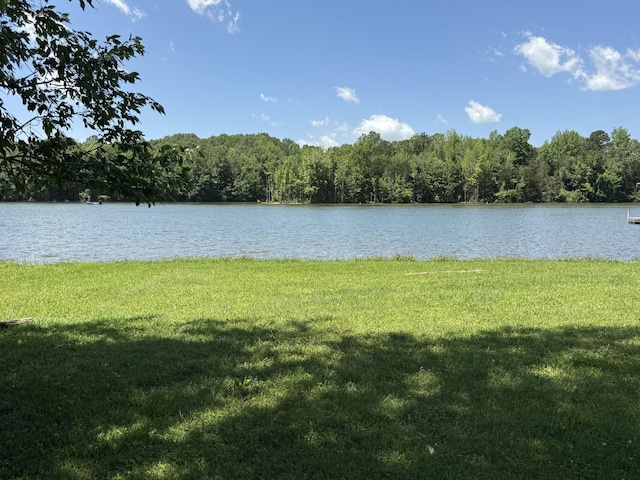 1419 Dripping Springs Rd, Winchester, TN 37398 - photo 18