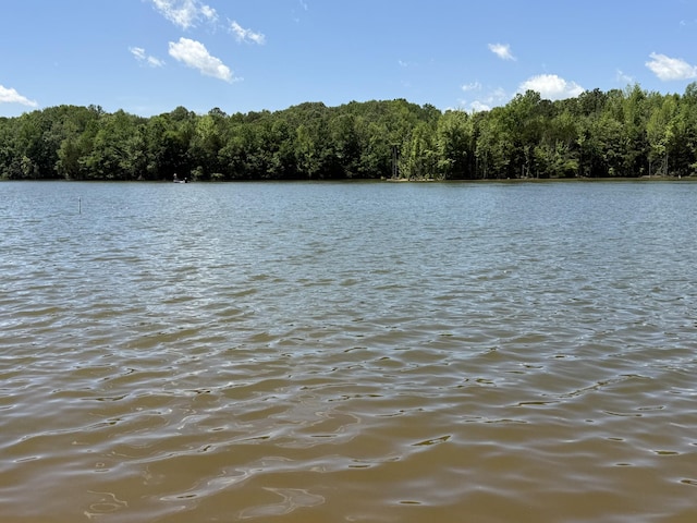 1419 Dripping Springs Rd, Winchester, TN 37398 - photo 19