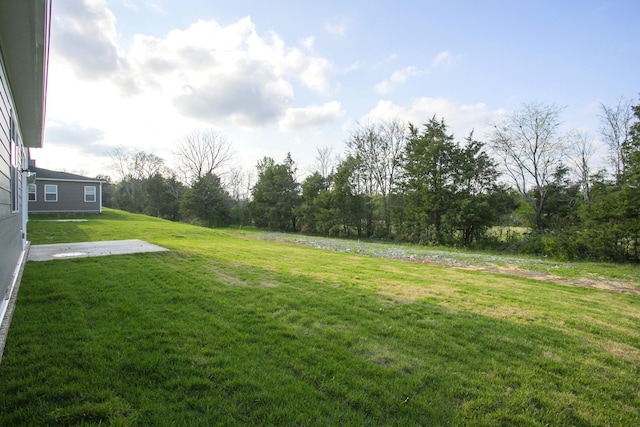 122 W Cassa Way, Mount Juliet, TN 37122 - view of grassy yard