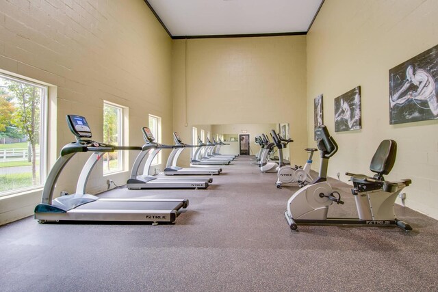 2433 Kennedy Ct Unit 2433, Franklin, TN 37064 - exercise room with a high ceiling and ornamental molding