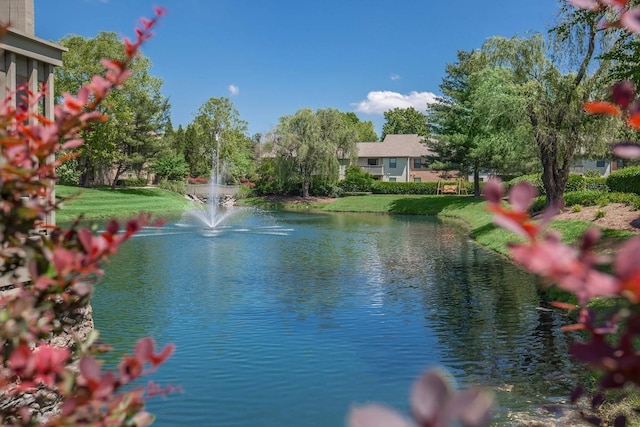 2433 Kennedy Ct Unit 2433, Franklin, TN 37064 - water view