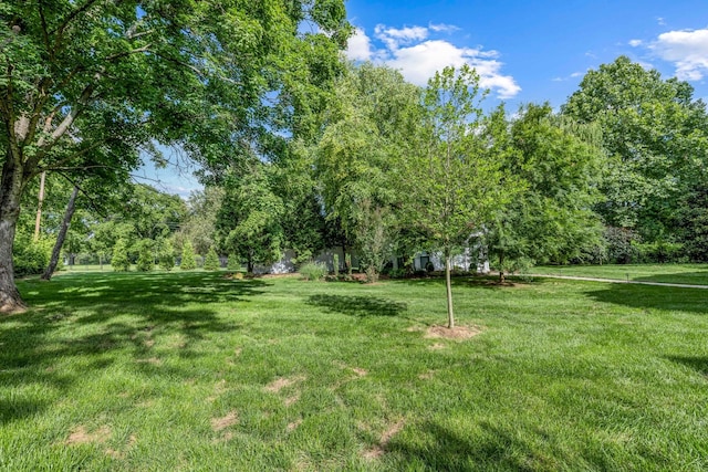 5028 Franklin Pike, Nashville, TN 37220 - photo 96