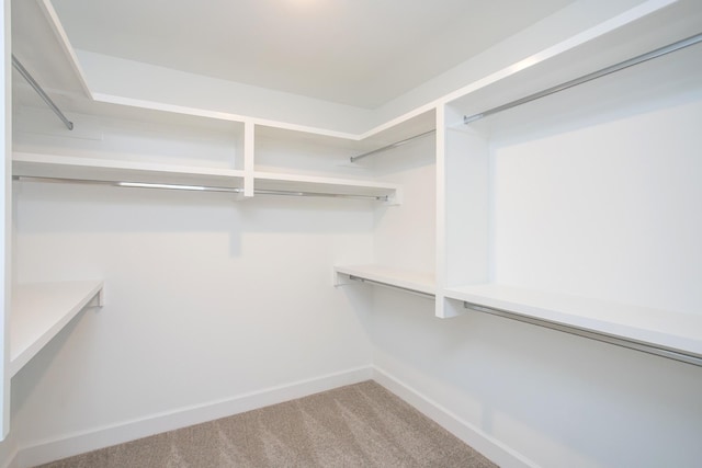 133 W Cassa Way, Mount Juliet, TN 37122 - walk in closet with carpet