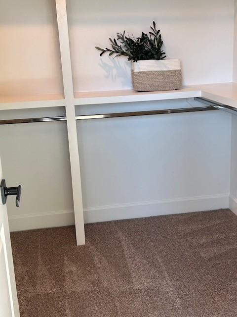 131 W Cassa Way, Mount Juliet, TN 37122 - detailed view of carpet flooring