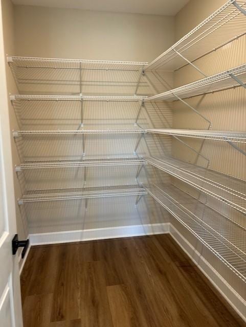 131 W Cassa Way, Mount Juliet, TN 37122 - view of pantry