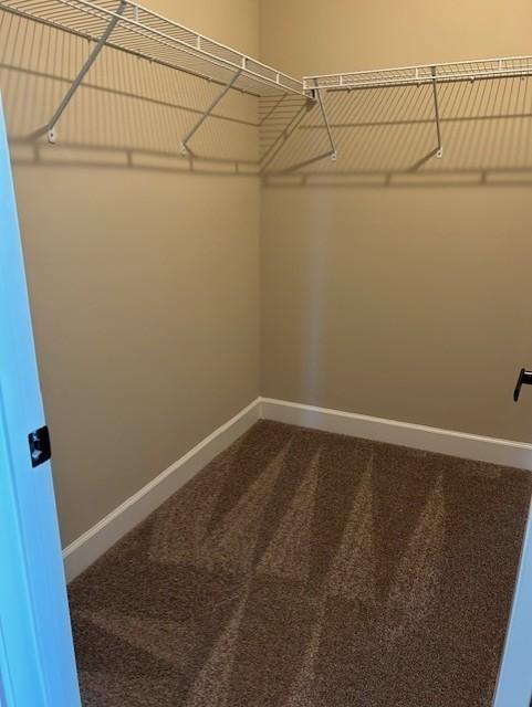 131 W Cassa Way, Mount Juliet, TN 37122 - spacious closet featuring carpet flooring