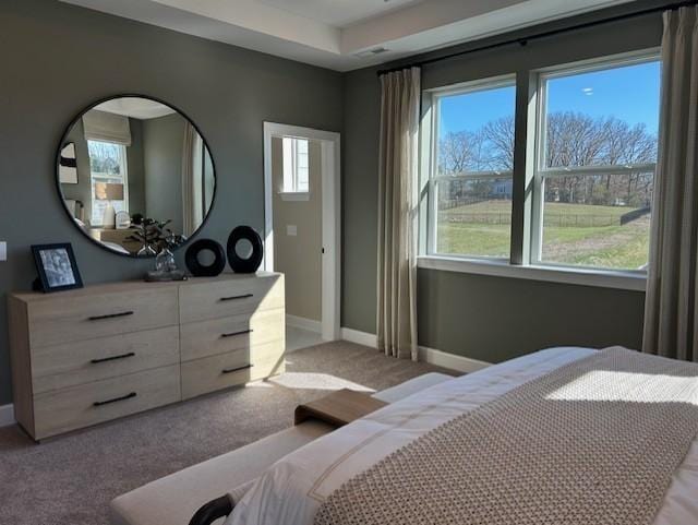 131 W Cassa Way, Mount Juliet, TN 37122 - bedroom with baseboards and light carpet