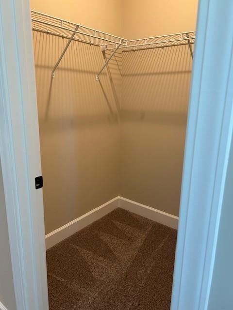 131 W Cassa Way, Mount Juliet, TN 37122 - spacious closet featuring carpet floors