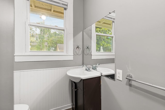 1007 Birdsall St, Old Hickory, TN 37138 - half bathroom featuring vanity, wainscoting, and wooden walls