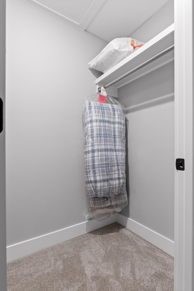 1440 Bowman Rd, Hixson, TN 37343 - walk in closet with carpet