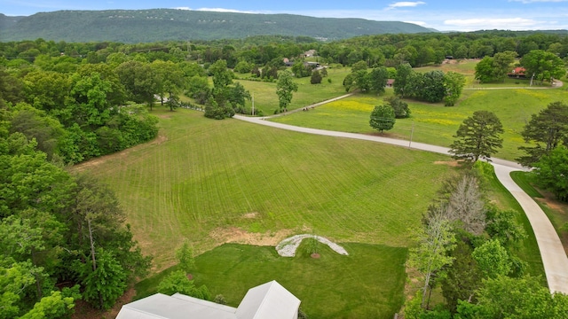 1440 Bowman Rd, Hixson, TN 37343 - overview of rural landscape with a mountain backdrop