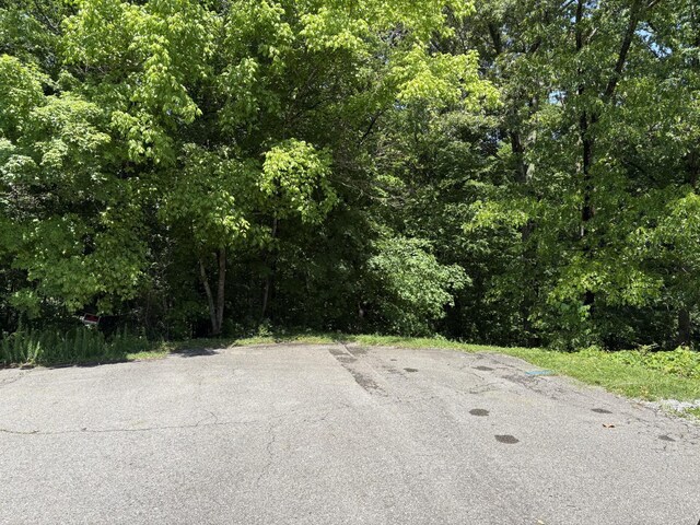 0 Cherokee Ct, Joelton, TN 37080 - photo 7
