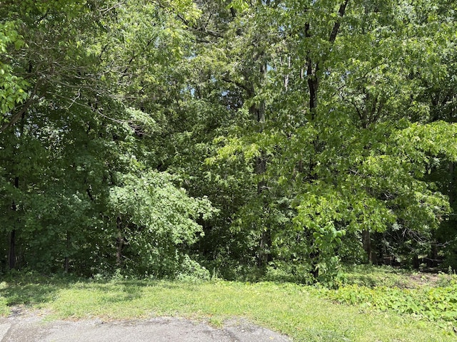 0 Cherokee Ct, Joelton, TN 37080 - photo 5