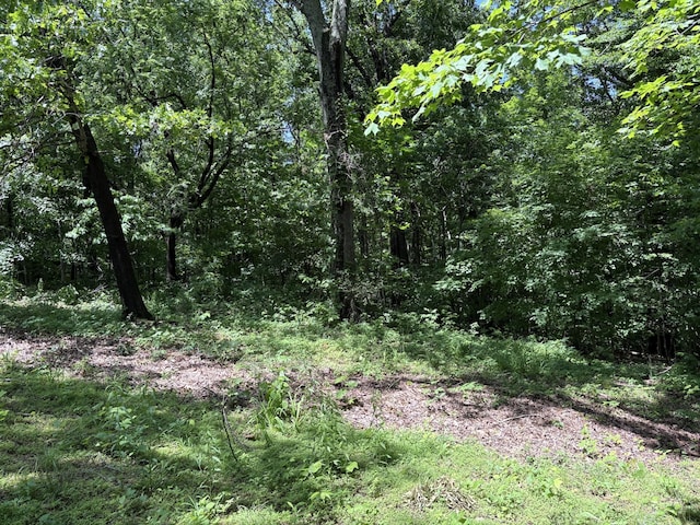 0 Cherokee Ct, Joelton, TN 37080 - photo 4