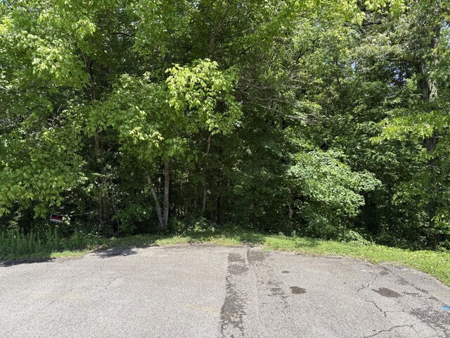0 Cherokee Ct, Joelton, TN 37080 - photo 8