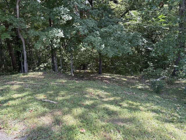 0 Cherokee Ct, Joelton, TN 37080 - photo 1