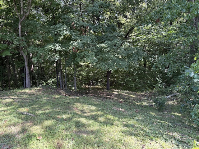 0 Cherokee Ct, Joelton, TN 37080 - photo 3