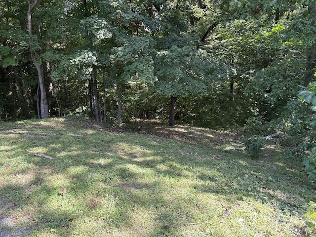 0 Cherokee Ct, Joelton, TN 37080 - photo 2