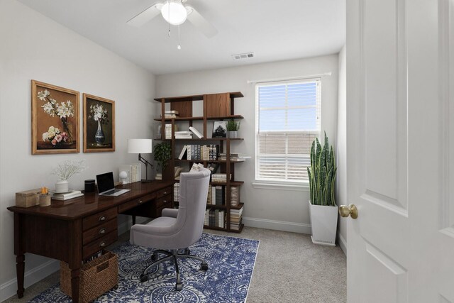 1011 Milson Ln, Nolensville, TN 37135 - photo 22