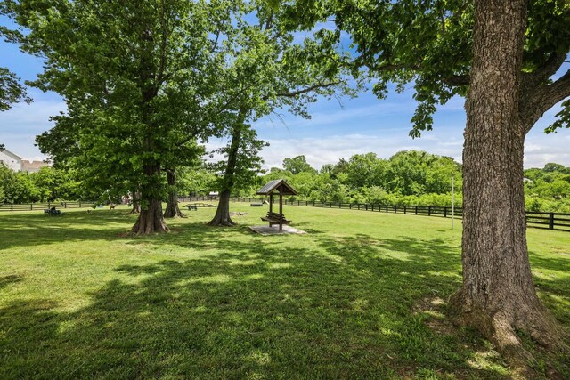 1011 Milson Ln, Nolensville, TN 37135 - photo 42