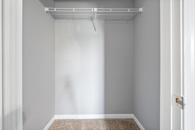 919 Linda Dr, Oak Grove, KY 42262 - view of closet