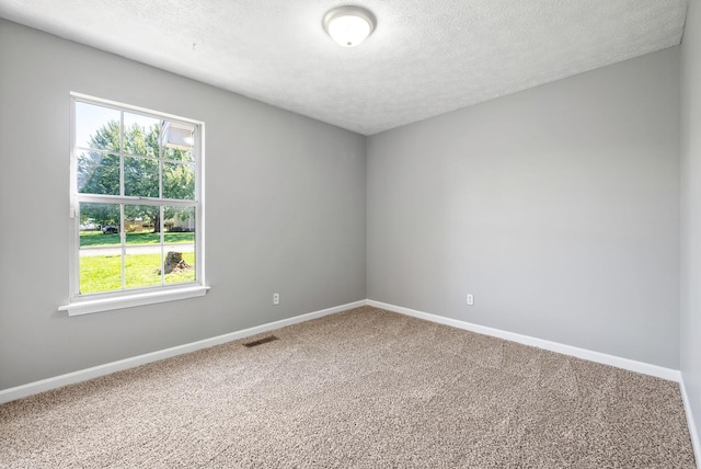 919 Linda Dr, Oak Grove, KY 42262 - carpeted empty room featuring healthy amount of natural light, a textured ceiling, and baseboards