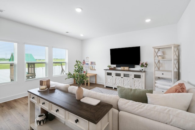 108 Model Ct, Columbia, TN 38401 - living area featuring wood finished floors, recessed lighting, and baseboards
