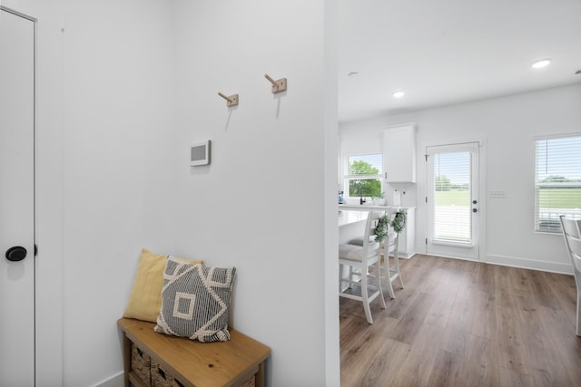 108 Model Ct, Columbia, TN 38401 - corridor with light wood-style floors, baseboards, and recessed lighting