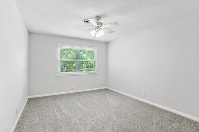 810 Bellevue Rd Unit 292, Nashville, TN 37221 - photo 17