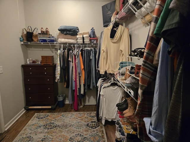 7211 Deervalley Dr, Fairview, TN 37062 - spacious closet with wood finished floors