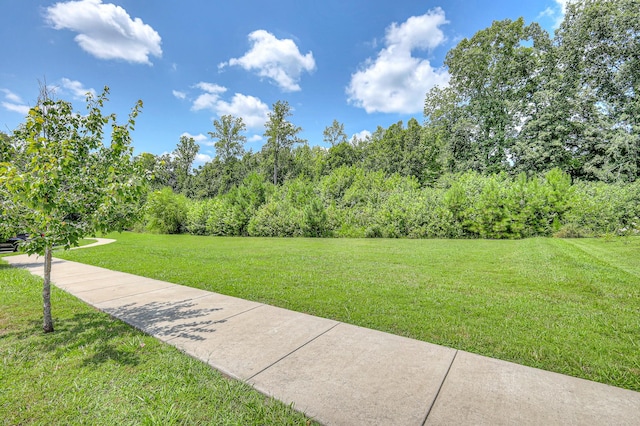 7211 Deervalley Dr, Fairview, TN 37062 - photo 43