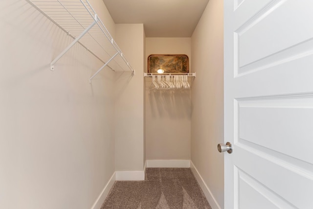 5008 Fennel Ct, Spring Hill, TN 37174 - spacious closet with carpet floors