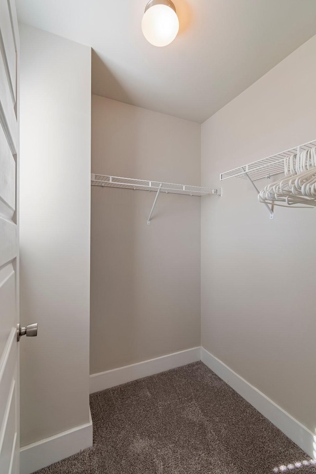 5008 Fennel Ct, Spring Hill, TN 37174 - spacious closet with carpet flooring