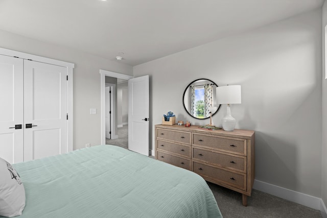 2507H Strong St, Columbia, TN 38401 - bedroom with dark colored carpet, baseboards, and a closet