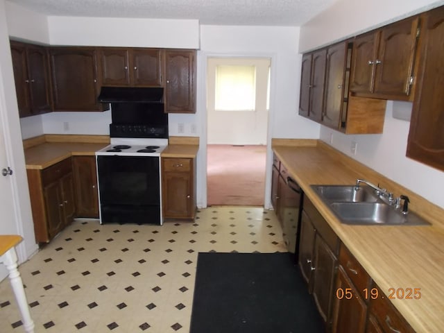 4064 Elizabeth Dr, Hermitage, TN 37076 - kitchen with electric range, a sink, under cabinet range hood, light flooring, and light countertops