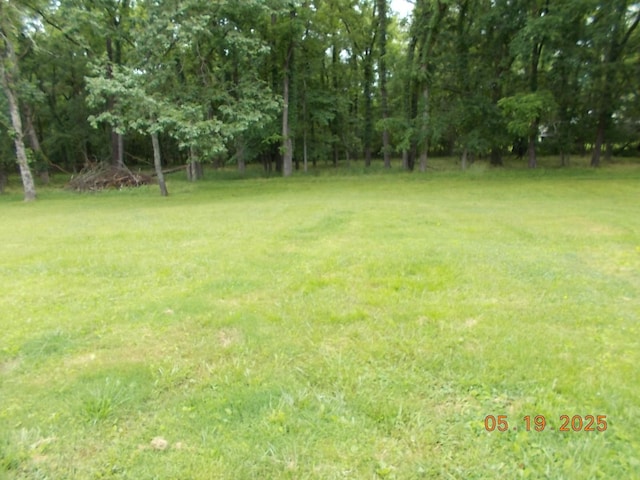 4064 Elizabeth Dr, Hermitage, TN 37076 - view of green lawn
