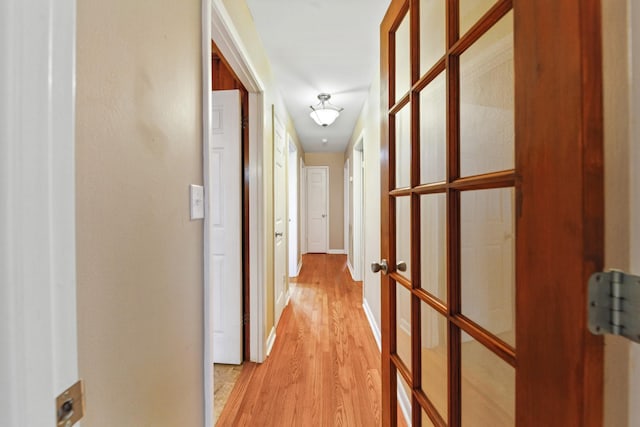 206 Crestland Dr, Columbia, TN 38401 - hallway with light wood-type flooring and baseboards